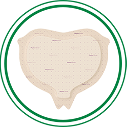 Sacrum_Mep-Sac_circle.png